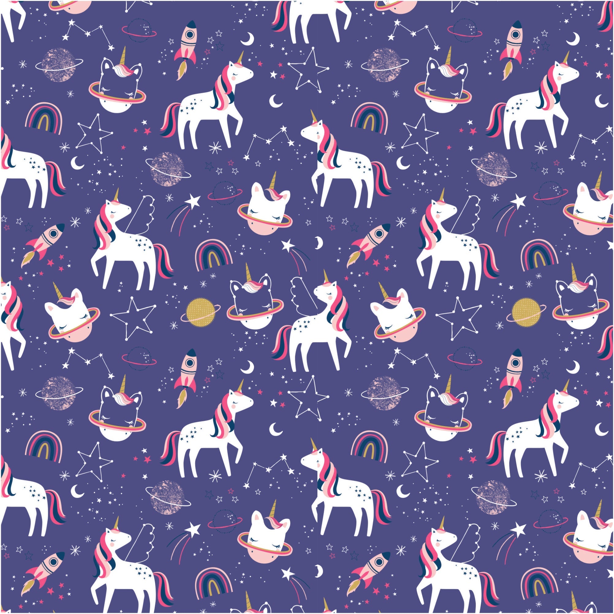 Space Unicorn